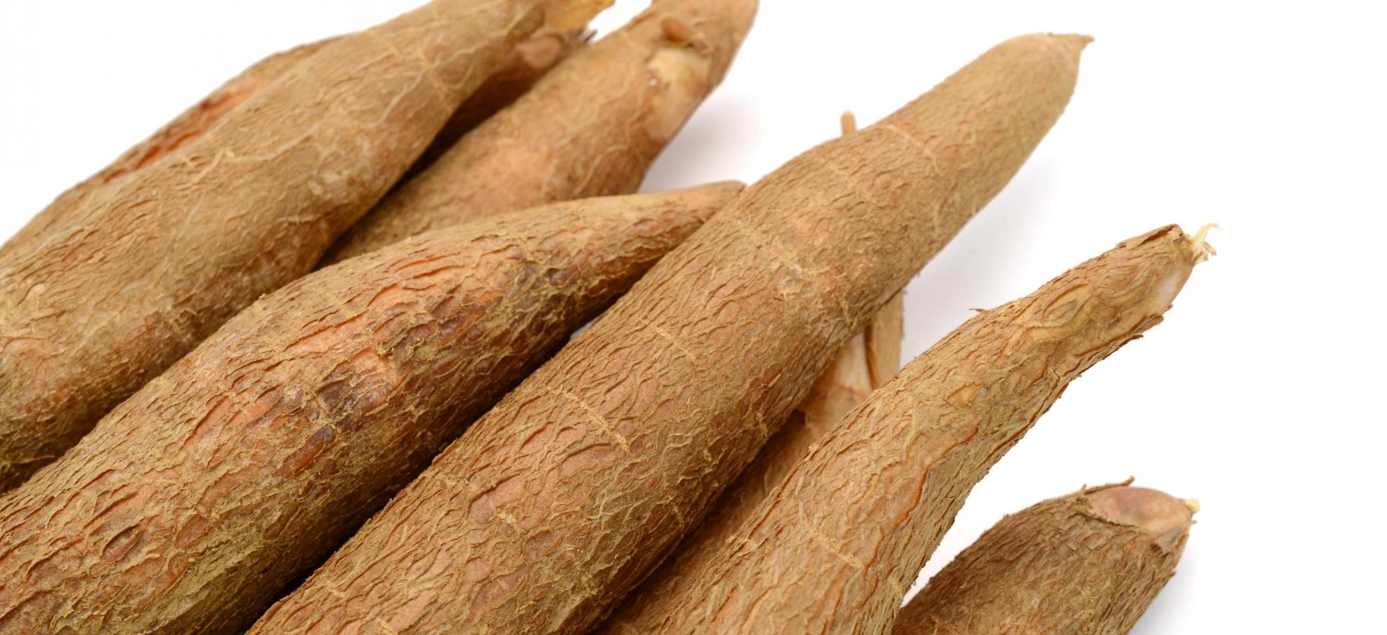 cassava