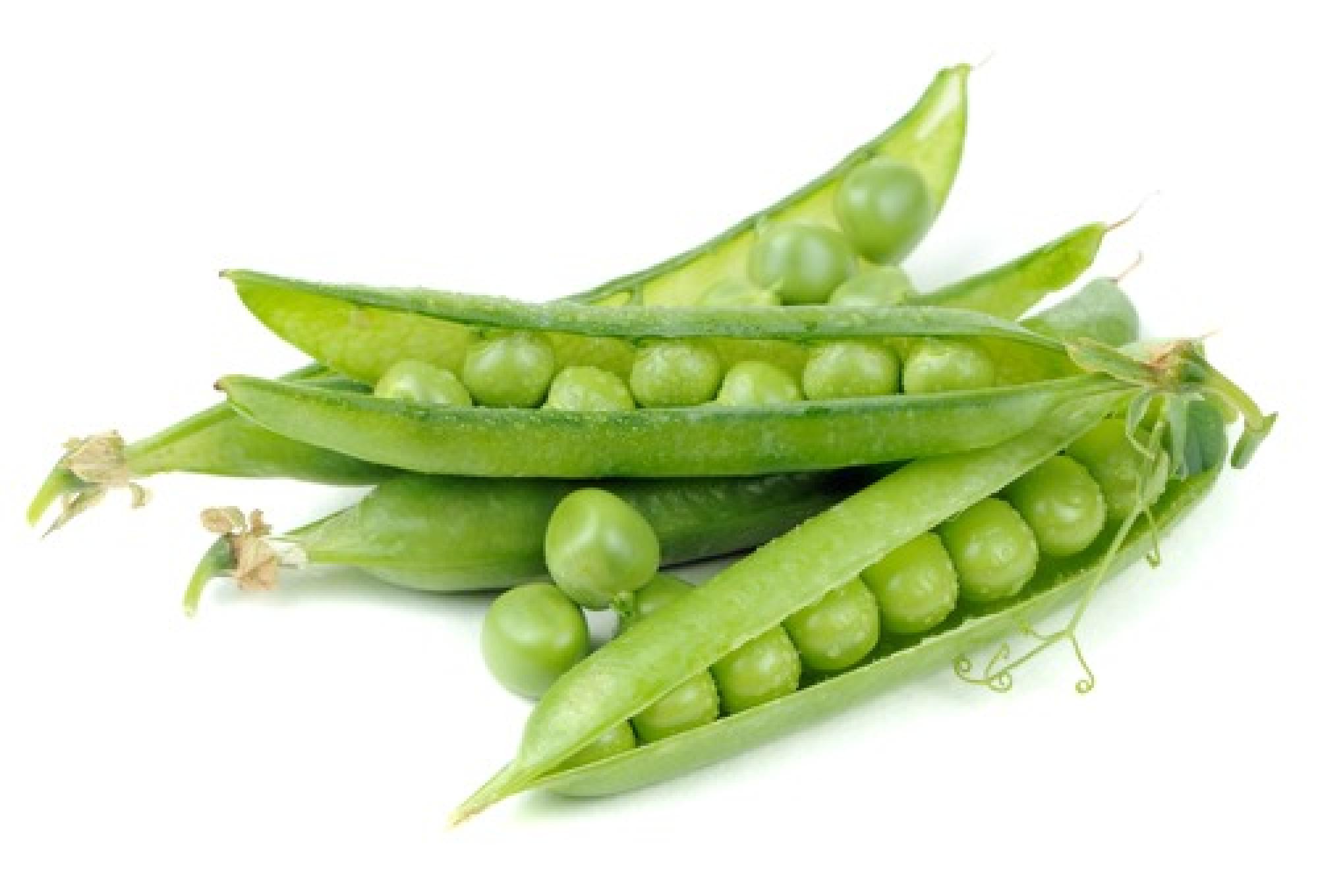 Peas for processing pea proteins