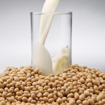 Soy proteins processed in milk