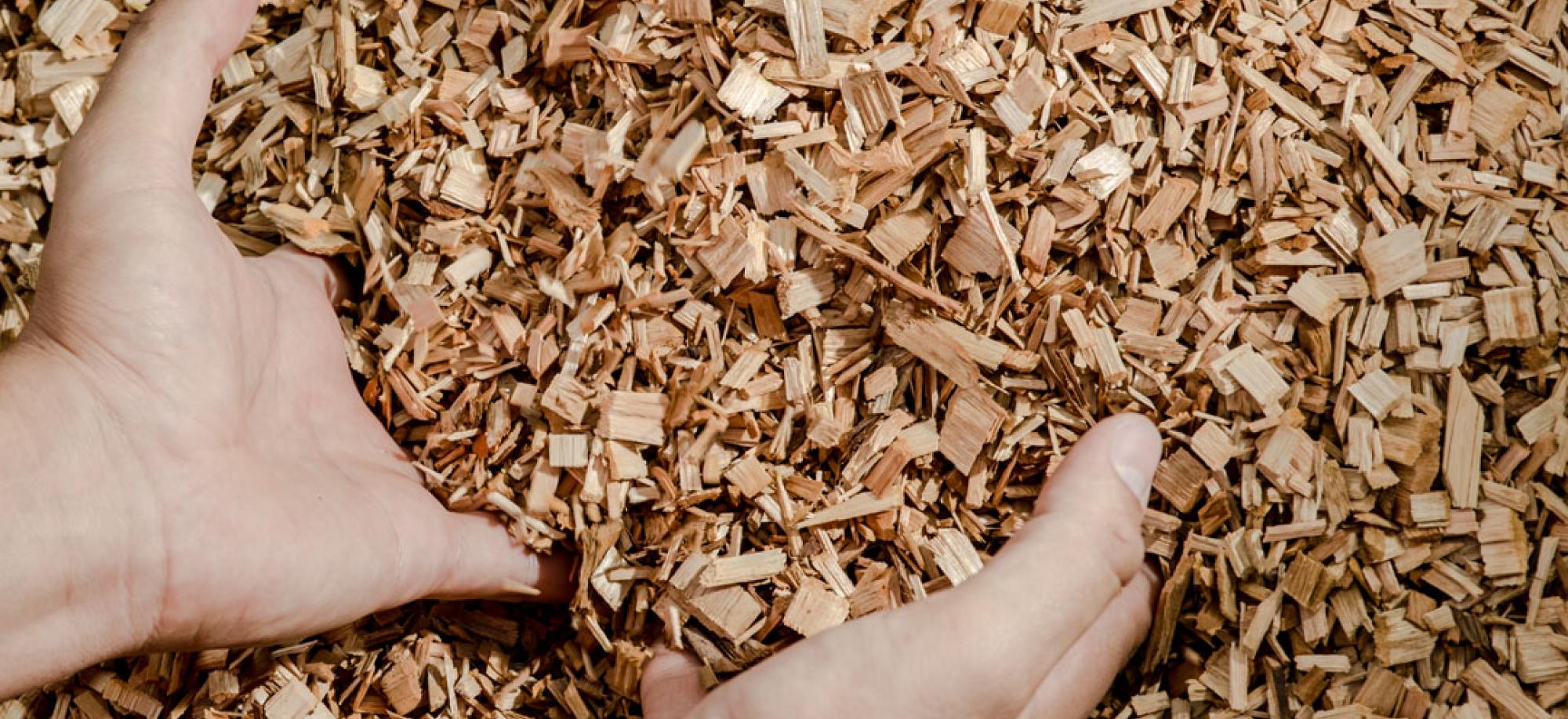 Wood chips