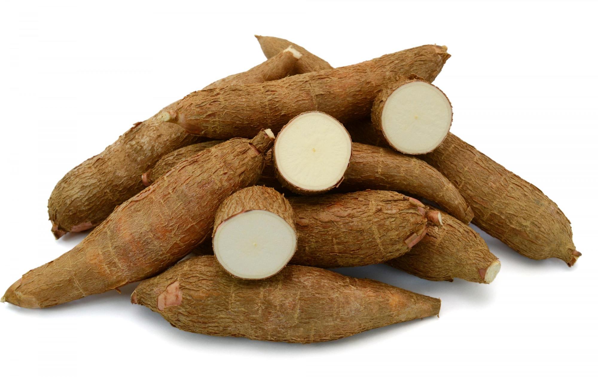 cassava